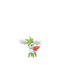 Shaymin