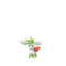Sky Forme Shaymin