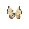 Vivillon
