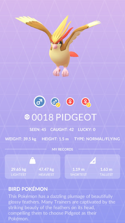 Pidgeot  Pokédex