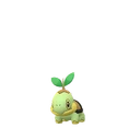 Turtwig