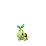 Turtwig