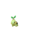 Turtwig