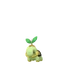 Turtwig