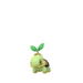 Turtwig