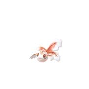 Goldeen female