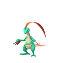 Grovyle