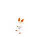 Scorbunny