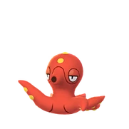 Octillery female