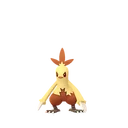 Combusken