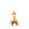 Combusken