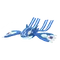 Primal Kyogre