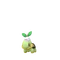 Turtwig