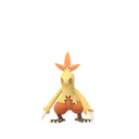 Combusken