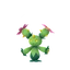 Maractus