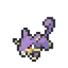 Rattata