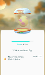 Egg in incubator summary page