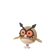 Hoothoot