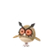 Hoothoot