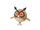 Hoothoot