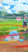 Petal Blizzard used in a Trainer Battle