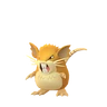 Raticate