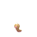 Weedle