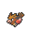 Spearow