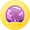 Sinnoh pearl medal