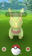 Ditto disguised as Kecleon encounter