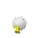 Eldegoss