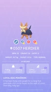 Herdier Pokédex entry