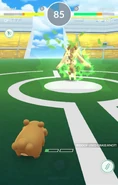 The player's Bidoof using Grass Knot.