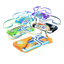 Raid Passes