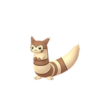 Furret