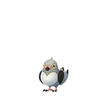 Pidgeotto, Pokémon GO Wiki