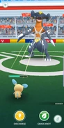 Quick Attack used in a Gym Battle