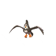 Staravia