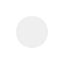 MegaEvolutionGuru shadow.png