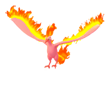 Pokemon Name Resource — Sunburn - shiny Moltres The shiny version really