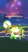 Frenzy Plant used in a Trainer Battle