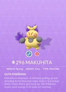 Makuhita Shadow Pokédex entry