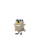 Meowth