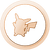 PikachuFan Bronze.png
