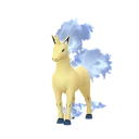 Rapidash