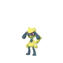 Riolu