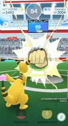 Thunder Punch gym battle.jpg (151 KB) Thunder Punch used in a Gym Battle
