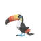 Toucannon