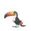 Toucannon
