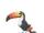 Toucannon